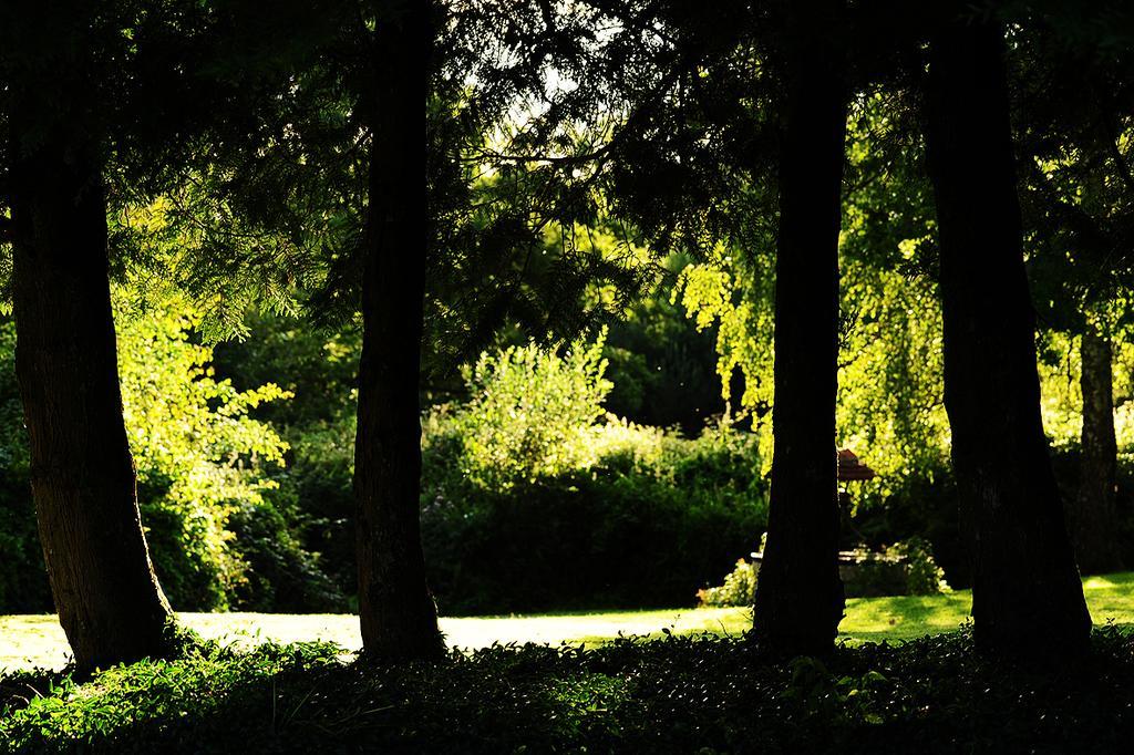 Kimaro Farmhouse Colméry Kültér fotó
